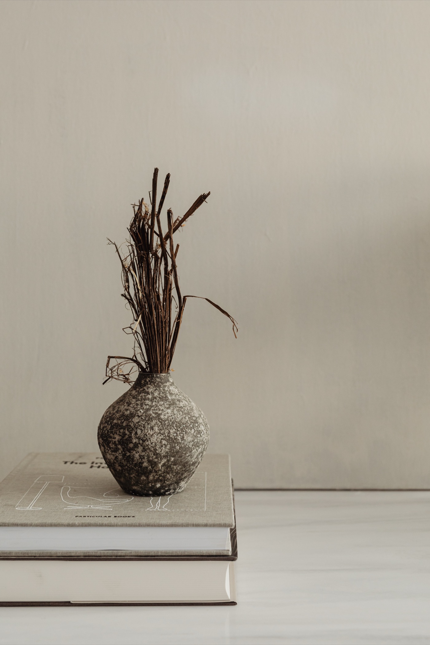 Speckled ceramic vase with dried stems on a stack of design books
